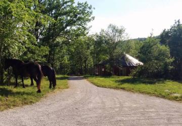 LES HAUTS D'ALBAS