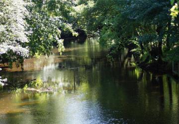 Camping d'Auberoche