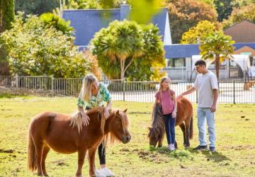 Camping Les Jardins du Morbihan 