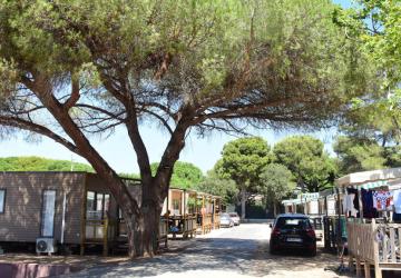 Camping Tikayan Le Méditerranée