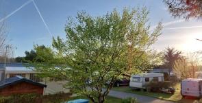 Camping de Prigny